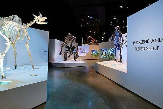 Tour image 11